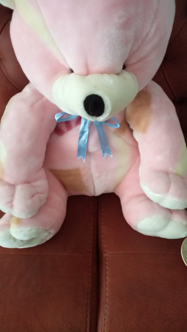 Pembe Peluş Ayıcık Oyuncak - Görsel 3