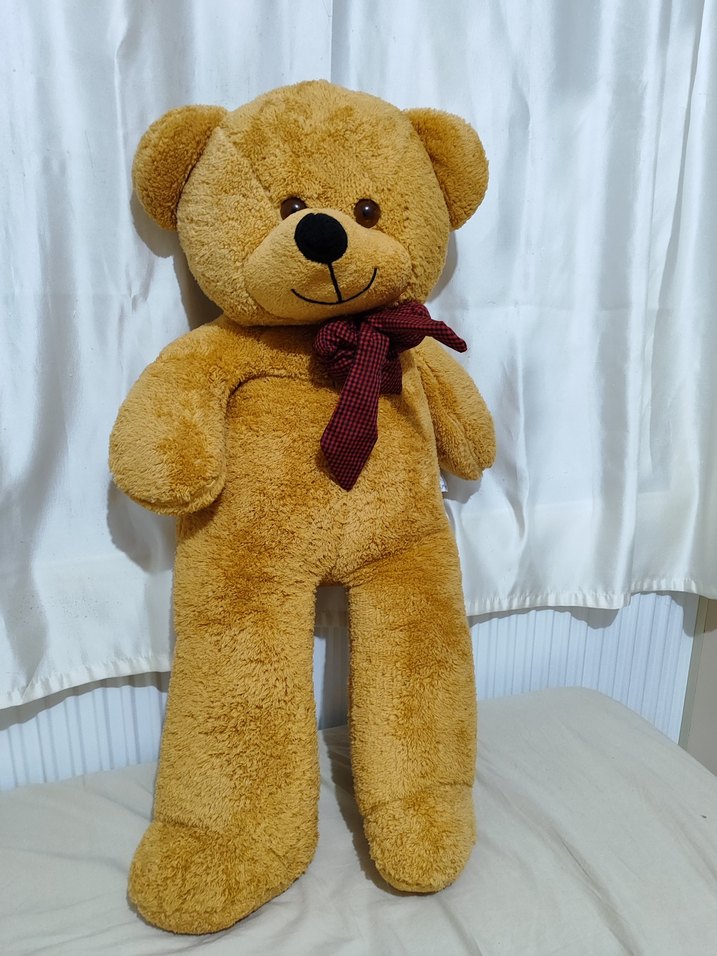 Kahverengi Yumuşak Peluş Ayı Oyuncak - Görsel 2