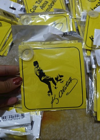 ARABA SÜSÜ - Görsel 5