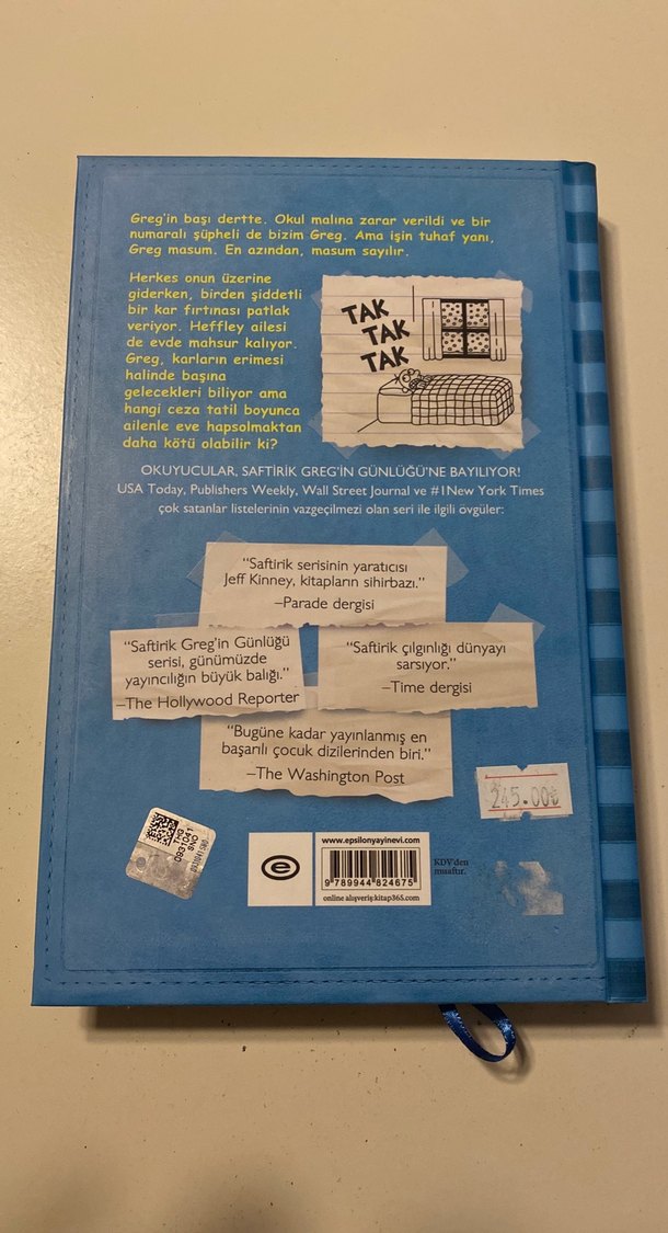 Saftirik Greg'in Günlüğü: Panik Yok! - Görsel 2