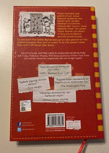 Wimpy Kid Saftirik Greg'in Günlüğü Karışık İşler - Görsel 2