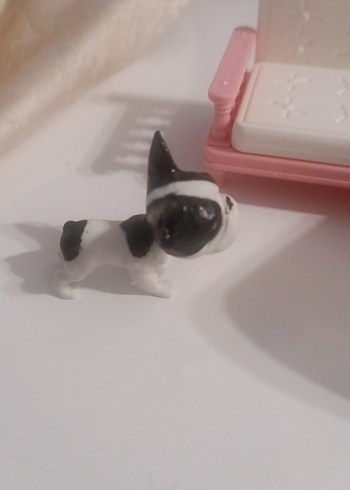 Pastel Sarı Taşınabilir Kedi Taşıyıcısı - Görsel 3