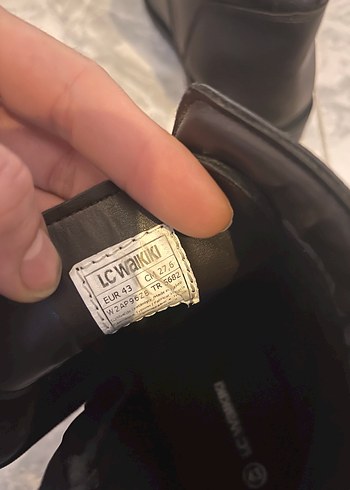 Kahverengi Erkek Bot - Görsel 7