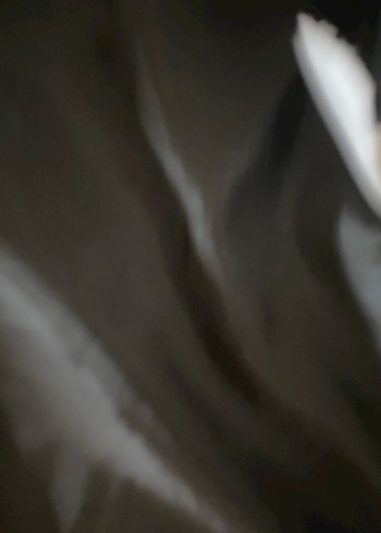 Kahverengi Leopar Desenli Kedi Ceketi - Görsel 7