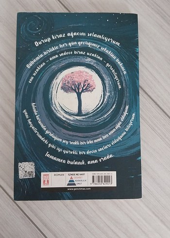 Kiraz Ağacı ile Aramızdaki Mesafe