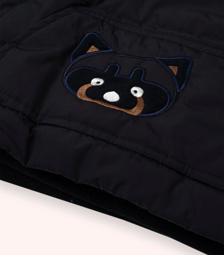 Kapüşonlu Siyah Erkek Çocuk Mont - Görsel 2