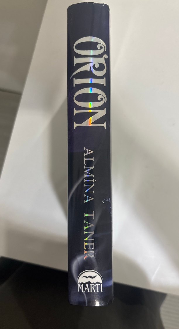 Orion - Almina Taner - Görsel 4