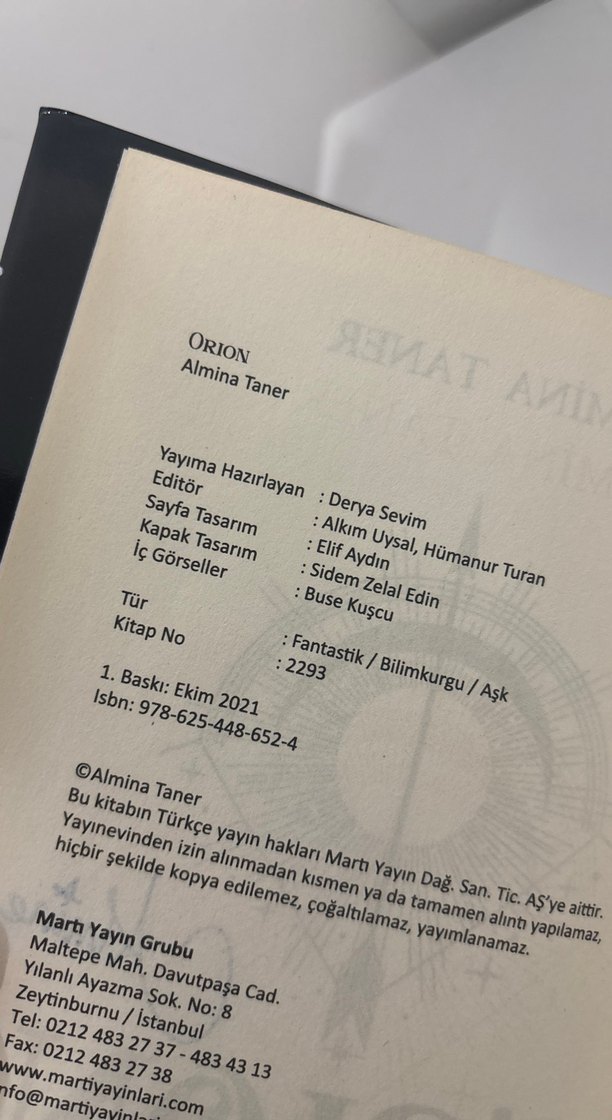 Orion - Almina Taner - Görsel 5