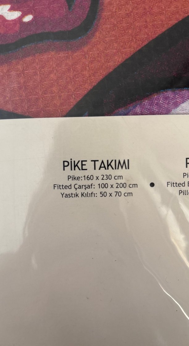 Renkli Baskılı Monster High Nevresim Seti - Görsel 3