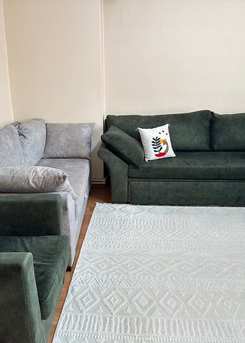 Gri ve yeşil renli koltuk takımı