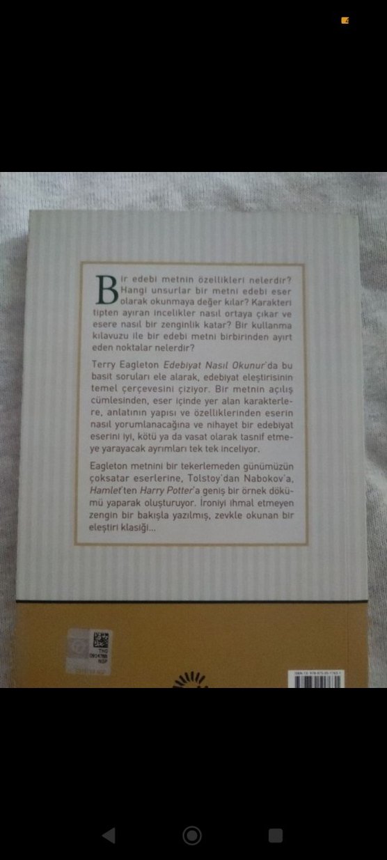 Edebiyat Nasıl Okunur - Terry Eagleton - Görsel 2