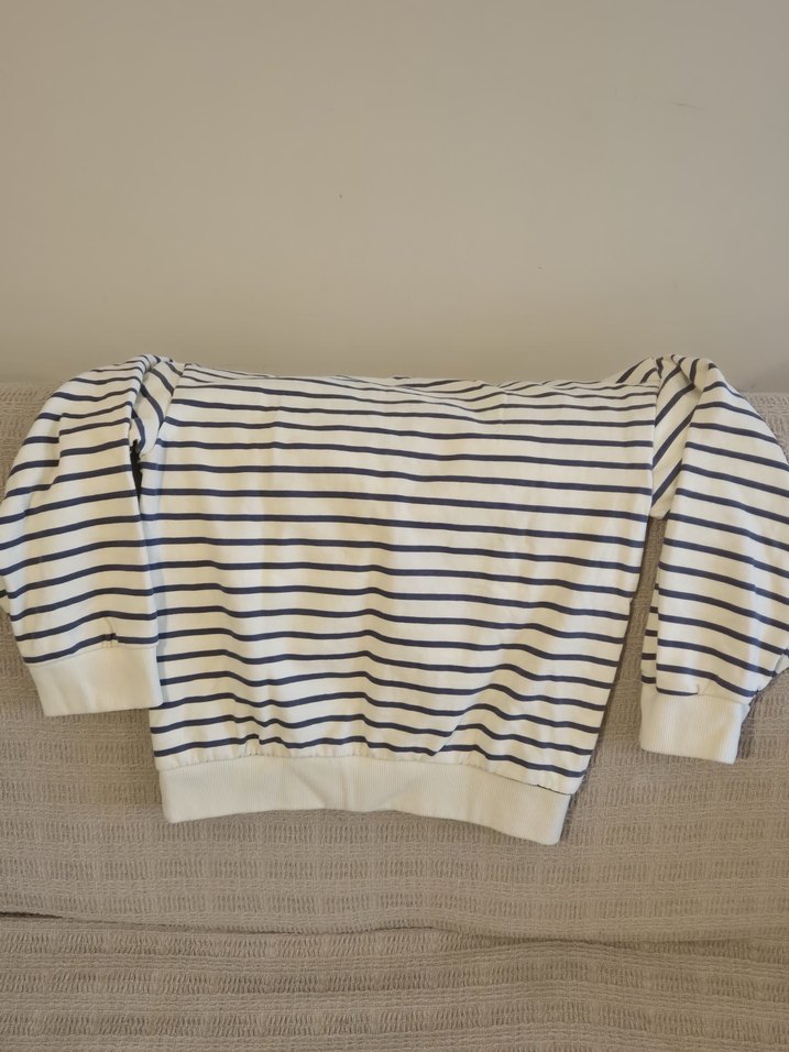 Çocuk Mavi Çizgili Bluey Baskılı Sweatshirt - Görsel 2