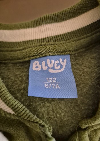 Yeşil Fermuarlı Bluey Baskılı Erkek Çocuk Takımı - Görsel 2