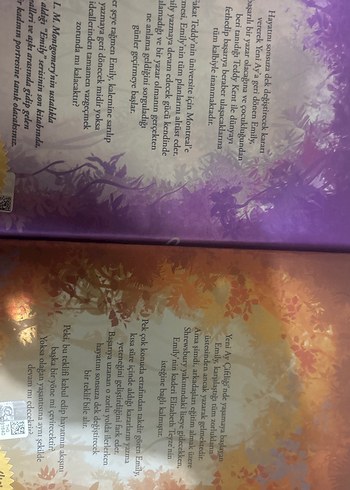 Emily - L. M. Montgomery Roman Seti - Görsel 2