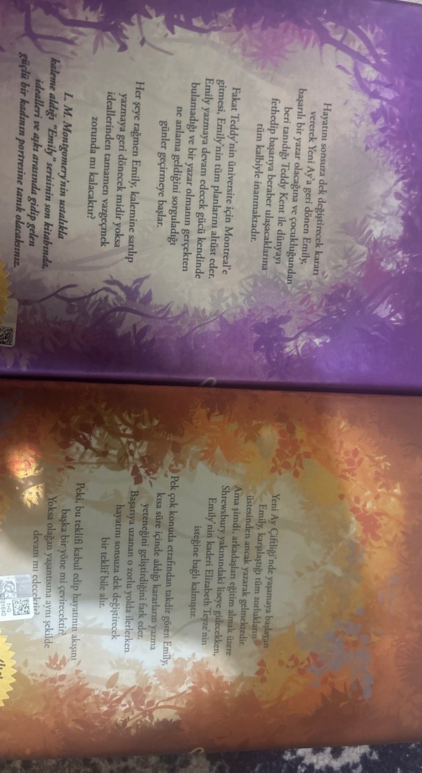 Emily - L. M. Montgomery Roman Seti - Görsel 2