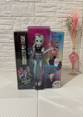 Monster High Monster High Frankie Stein Çok Renkli Bebek