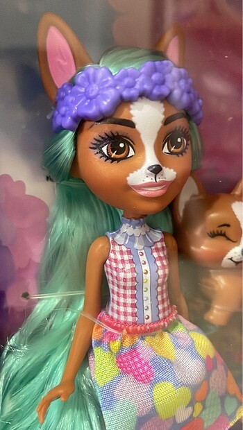 Beden Renk Enchantimals Bestie Reveal