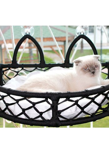 cam askili Beyaz Yastıklı Siyah Kedi Sepeti - Görsel 2