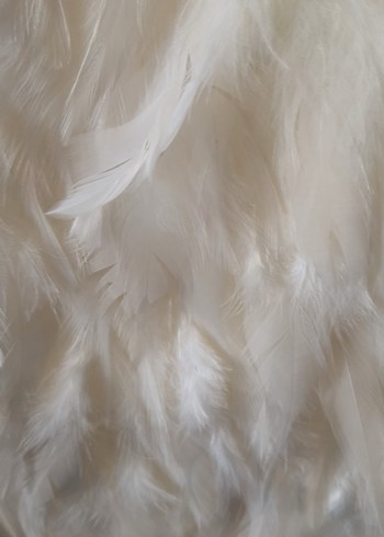 Straplez Mini Abiye Deve Tüyü Detaylı - Görsel 7