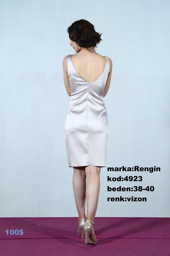 Rengin Vizon Nakışlı Midi Abiye Elbise - Görsel 2