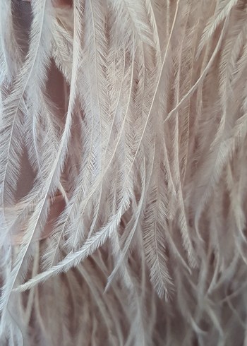 Pembe Mini Straplez Deve Tüyü Detaylı Elbise - Görsel 5