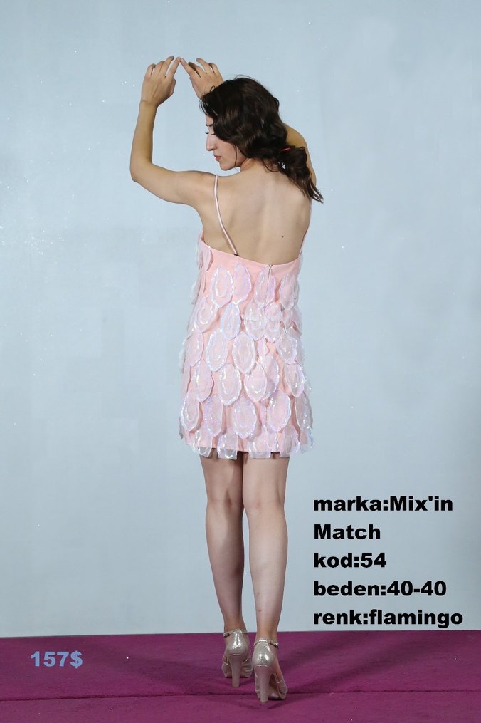 Mix'in Match Flamingo Mini Elbise - Görsel 2