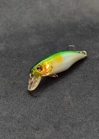 Beden BENEKLİ RAPALA