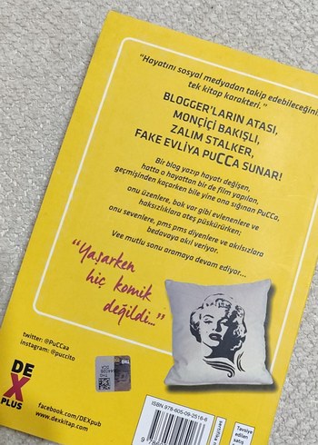 Pucca Günlük 5 - O Adam Buraya Gelecek - Görsel 2