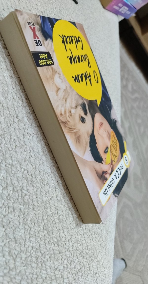 Pucca Günlük 5 - O Adam Buraya Gelecek - Görsel 3