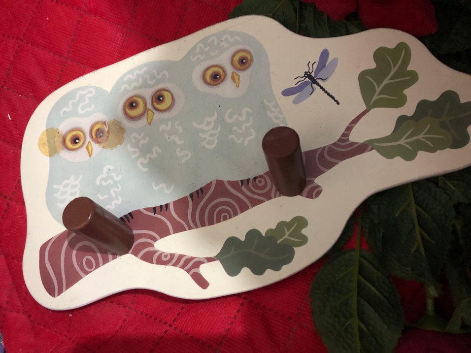 Çocuklar için Baykuş Temalı Ahşap Askılık - Görsel 3