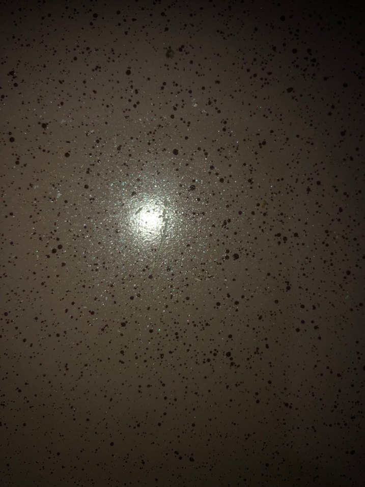 Gülsan Safran 23Cm Granit Basık Tencere - Görsel 4