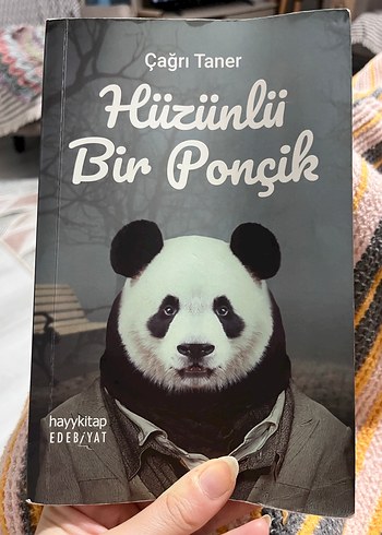 Hüzünlü Bir Ponçik - Çağrı Taner - Görsel 3