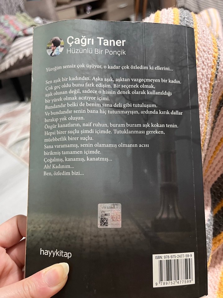 Hüzünlü Bir Ponçik - Çağrı Taner - Görsel 2