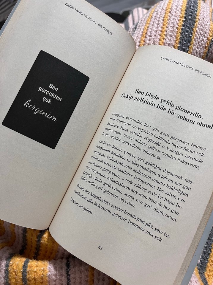 Hüzünlü Bir Ponçik - Çağrı Taner - Görsel 4