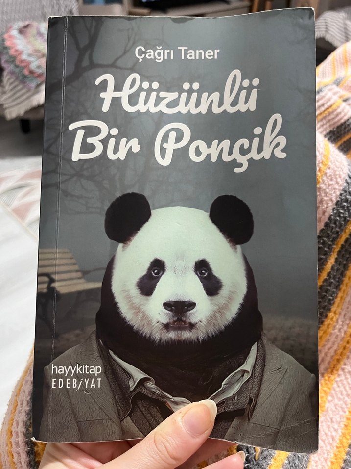 Hüzünlü Bir Ponçik - Çağrı Taner - Görsel 3