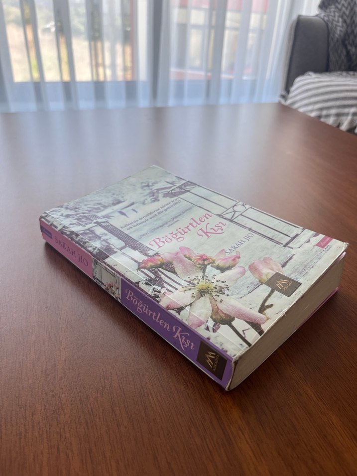 Boğürtlen Kışı - Sarah Jio - Görsel 4