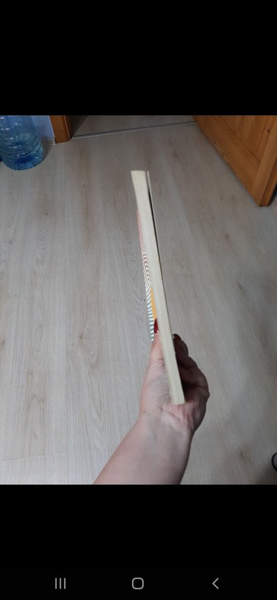 Kadınlar Ülkesi ve Güneş Ülkesi Ütopya Kitapları seti. - Görsel 3