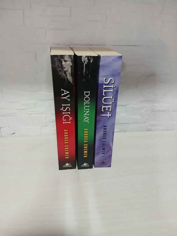 Andrea Cremer Üçlemesi: Dolunay Seti - Görsel 2