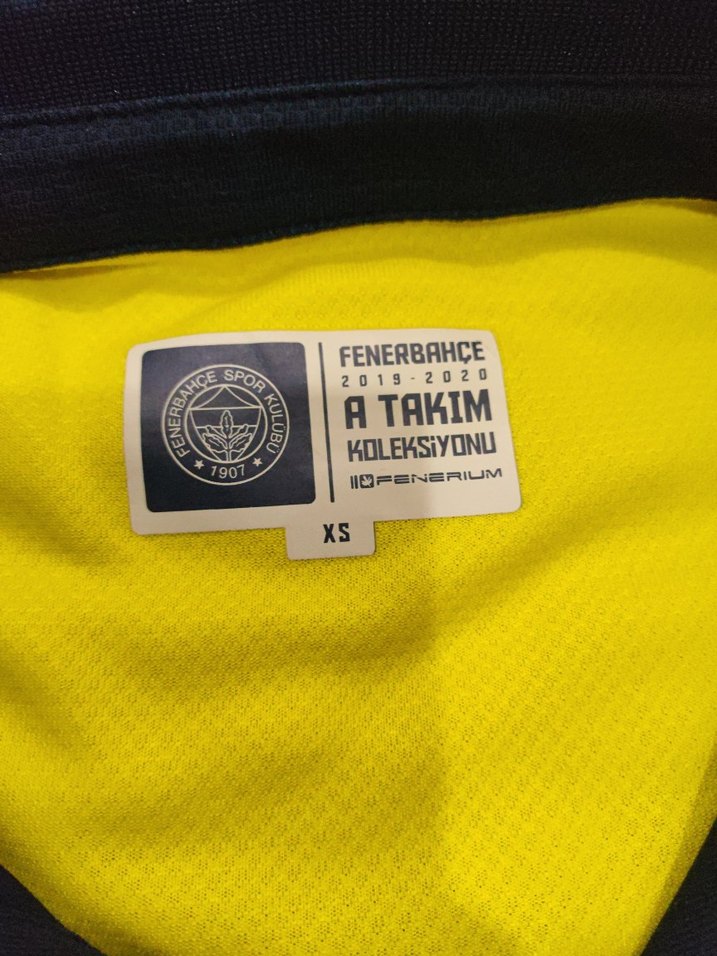 Fenerium Fenerbahçe Erkek Polo Yaka ORJİNAL - Görsel 2