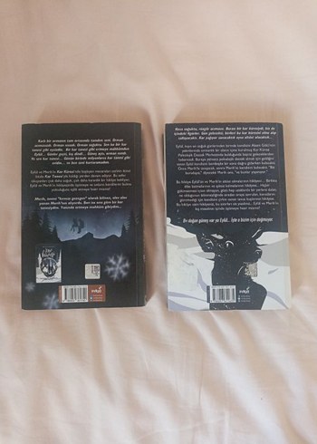 Beyza Alkoç'tan Kar Tanesi Romanı - Görsel 3