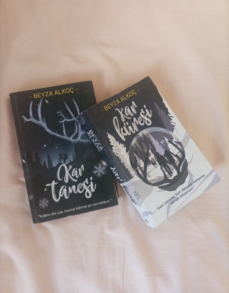 Beyza Alkoç'tan Kar Tanesi Romanı - Görsel 2
