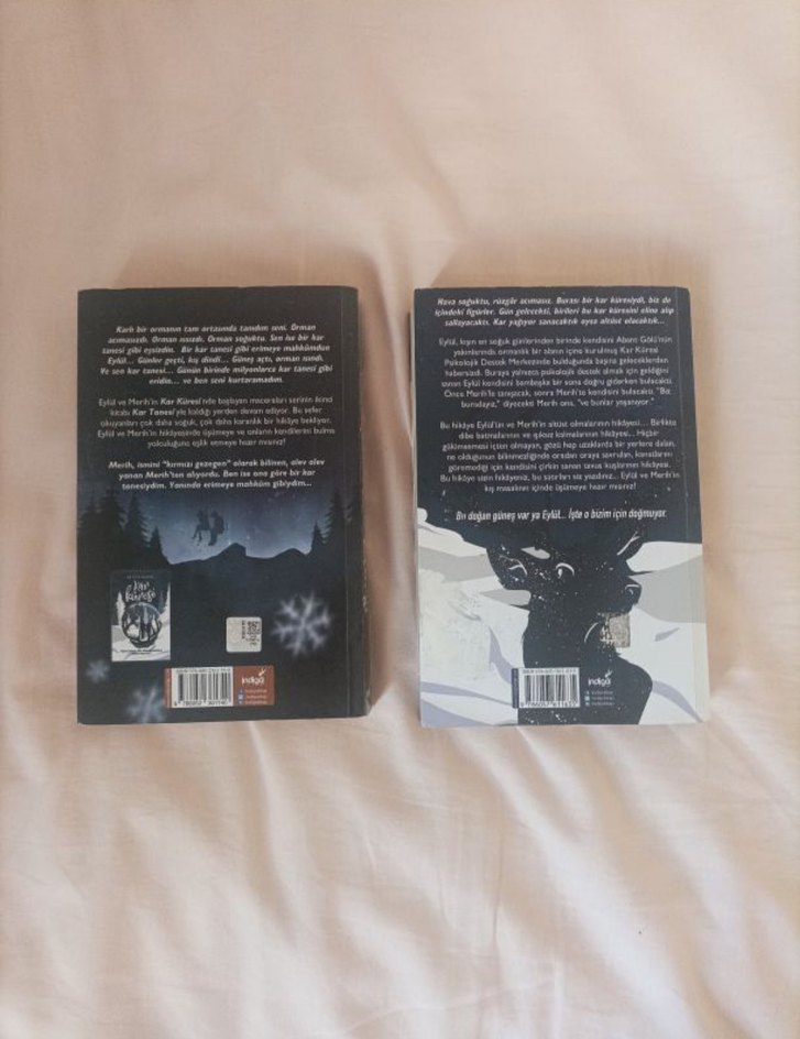 Beyza Alkoç'tan Kar Tanesi Romanı - Görsel 3