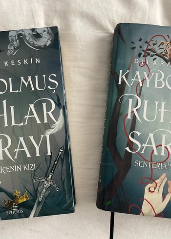 Kaybolmuş Ruhlar Sarayı serisi