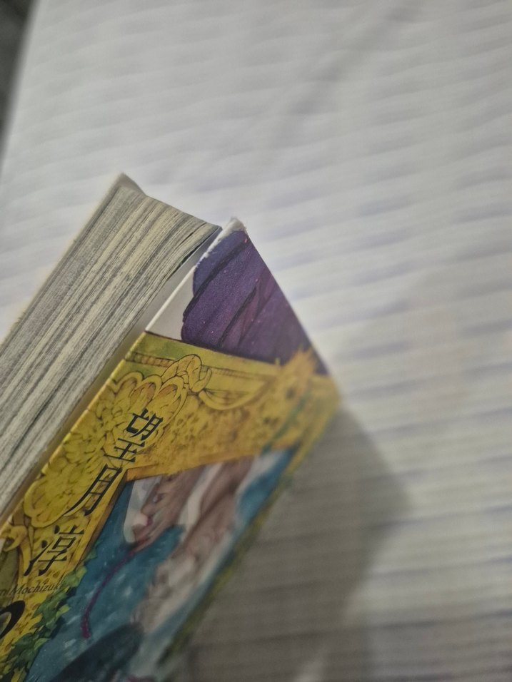 vanitas no carte 3 japonca - Görsel 3