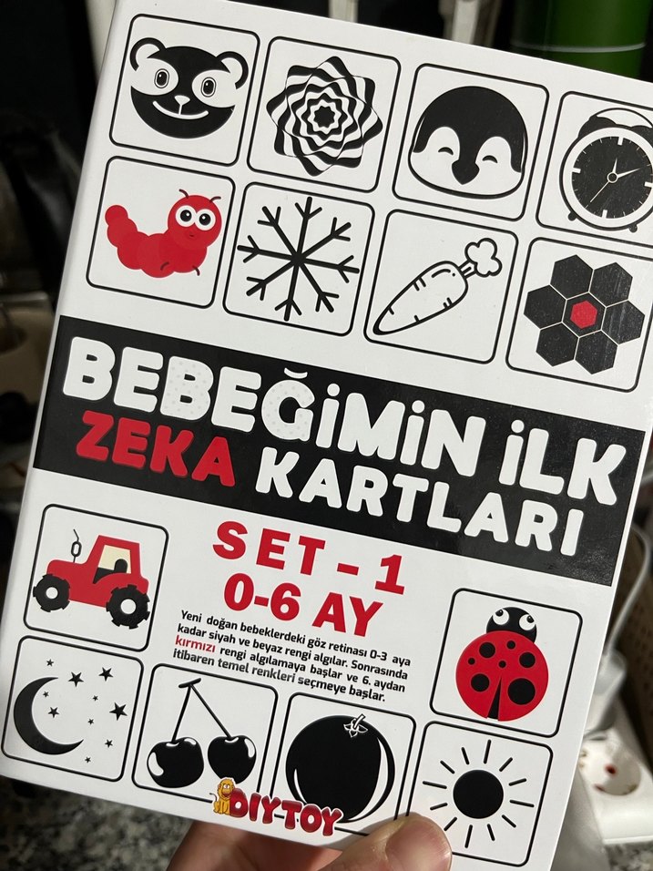 Panda Temalı Eğitici Kart Oyunu - Görsel 4