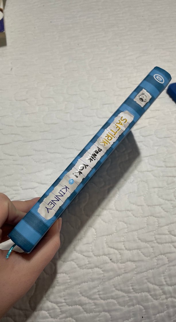 Saftirik Greg'in Günlüğü: Panik Yok! - Görsel 5