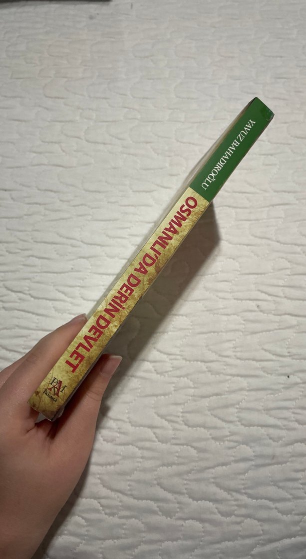 Osmanlı'da Derin Devlet ve II. Abdülhamit - Görsel 3