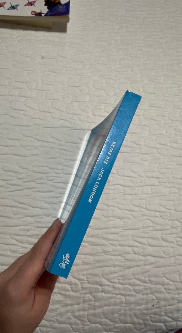 Jack London - Beyaz Diş Romanı - Görsel 3