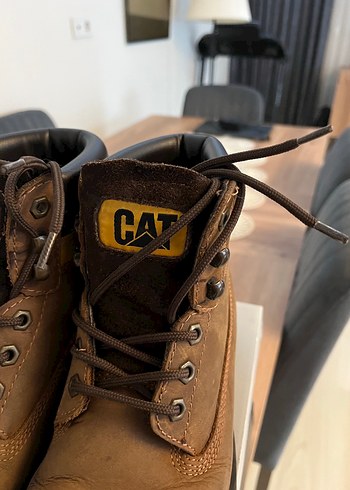 Cat 39