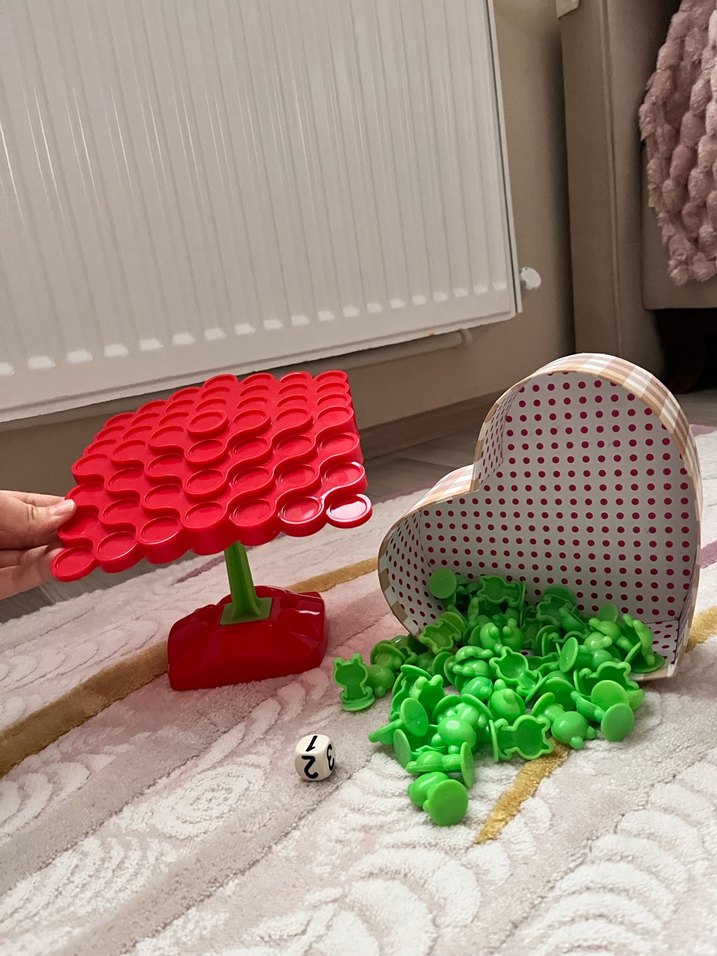 Denge Kaplumbağası oyunu - Görsel 2